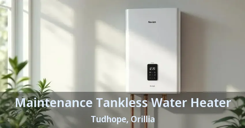 Maintenance Tankless Water Heater Tudhope, Orillia - ON Maintenance Tankless Water Heater Tudhope, Orillia - ON