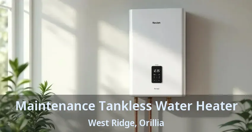 Maintenance Tankless Water Heater West Ridge, Orillia - ON Maintenance Tankless Water Heater West Ridge, Orillia - ON
