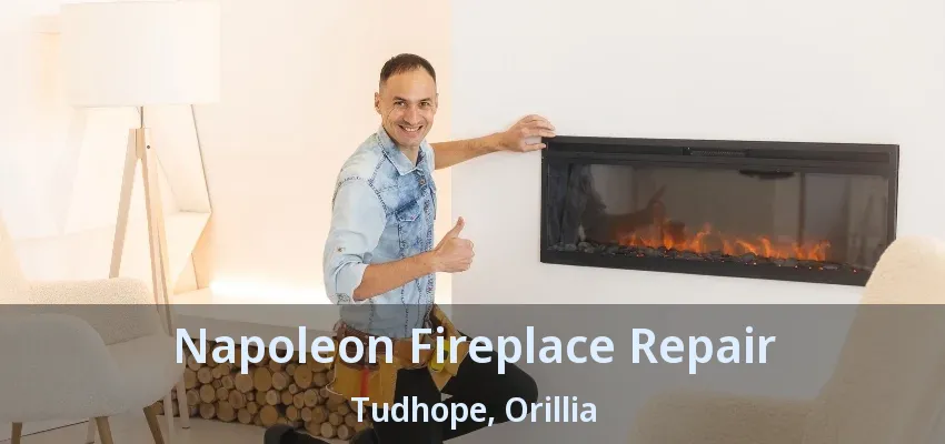 Napoleon Fireplace Repair Tudhope, Orillia - ON Napoleon Fireplace Repair Tudhope, Orillia - ON