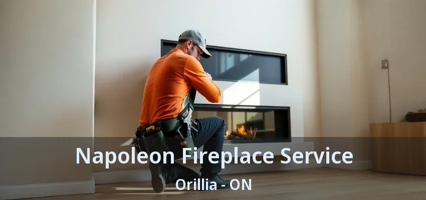 Napoleon Fireplace Service Orillia - ON