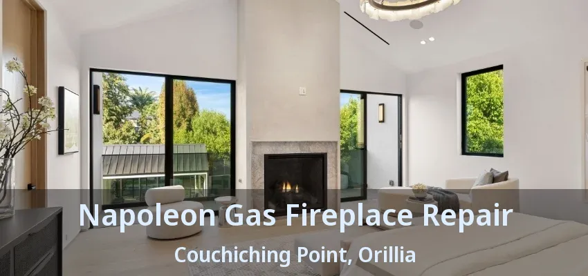 Napoleon Gas Fireplace Repair Couchiching Point, Orillia - ON Napoleon Gas Fireplace Repair Couchiching Point, Orillia - ON