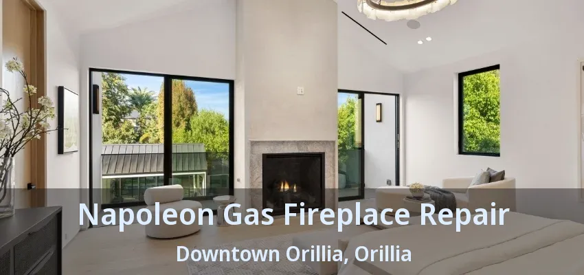 Napoleon Gas Fireplace Repair Downtown Orillia, Orillia - ON Napoleon Gas Fireplace Repair Downtown Orillia, Orillia - ON