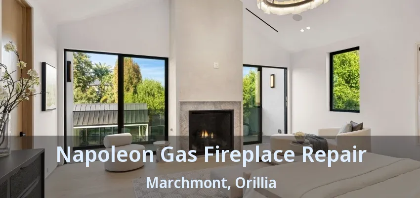Napoleon Gas Fireplace Repair Marchmont, Orillia - ON