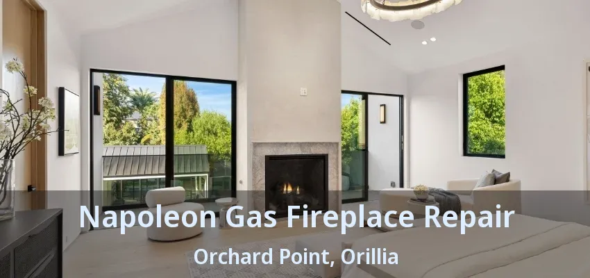 Napoleon Gas Fireplace Repair Orchard Point, Orillia - ON Napoleon Gas Fireplace Repair Orchard Point, Orillia - ON