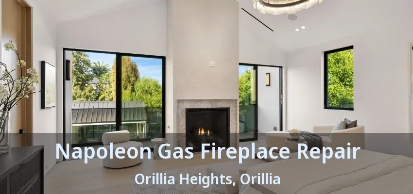 Napoleon Gas Fireplace Repair Orillia Heights, Orillia - ON Napoleon Gas Fireplace Repair Orillia Heights, Orillia - ON