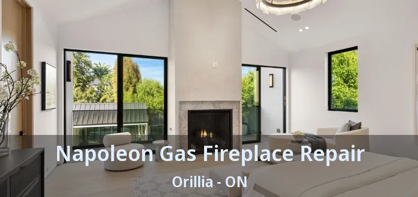 Napoleon Gas Fireplace Repair Orillia - ON Napoleon Gas Fireplace Repair Orillia - ON