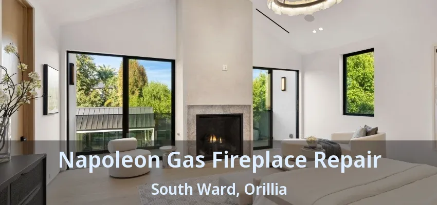 Napoleon Gas Fireplace Repair South Ward, Orillia - ON Napoleon Gas Fireplace Repair South Ward, Orillia - ON