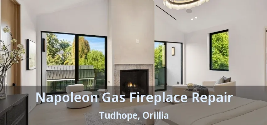 Napoleon Gas Fireplace Repair Tudhope, Orillia - ON Napoleon Gas Fireplace Repair Tudhope, Orillia - ON