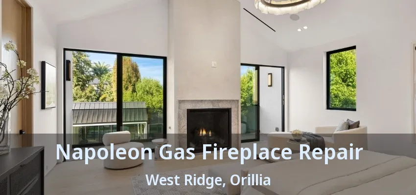 Napoleon Gas Fireplace Repair West Ridge, Orillia - ON Napoleon Gas Fireplace Repair West Ridge, Orillia - ON