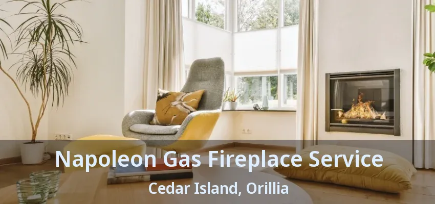 Napoleon Gas Fireplace Service Cedar Island, Orillia - ON Napoleon Gas Fireplace Service Cedar Island, Orillia - ON