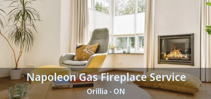 Napoleon Gas Fireplace Service Orillia - ON Napoleon Gas Fireplace Service Orillia - ON