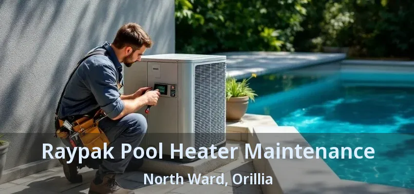Raypak Pool Heater Maintenance North Ward, Orillia - ON Raypak Pool Heater Maintenance North Ward, Orillia - ON