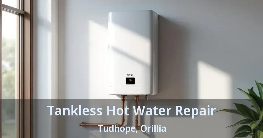 Tankless Hot Water Repair Tudhope, Orillia - ON Tankless Hot Water Repair Tudhope, Orillia - ON