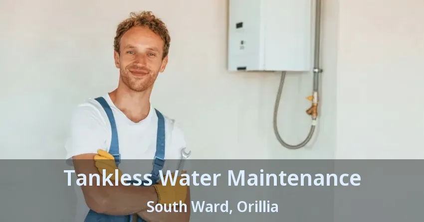 Tankless Water Maintenance South Ward, Orillia - ON Tankless Water Maintenance South Ward, Orillia - ON