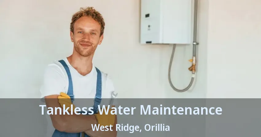 Tankless Water Maintenance West Ridge, Orillia - ON Tankless Water Maintenance West Ridge, Orillia - ON
