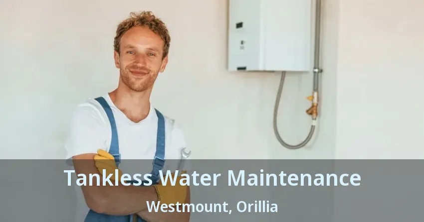 Tankless Water Maintenance Westmount, Orillia - ON Tankless Water Maintenance Westmount, Orillia - ON